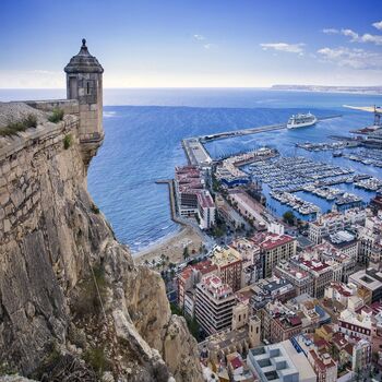 Enviar flores a los hospitales de Alicante