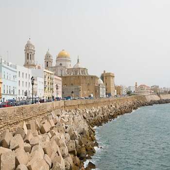 Enviar flores a los hospitales de Cádiz