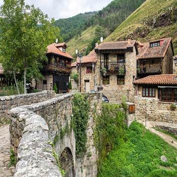 Enviar flores a los hospitales de Cantabria