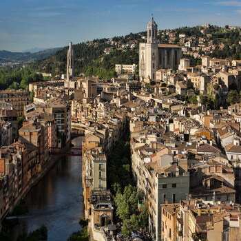 Enviar flores a los hospitales de Girona