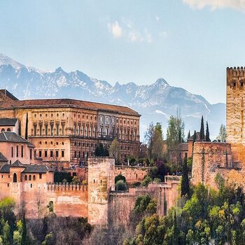 Enviar flores a los hospitales de Granada