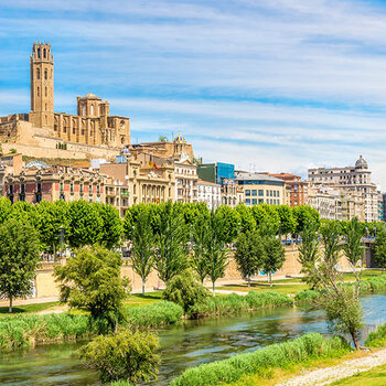 Enviar flores a los hospitales de Lleida